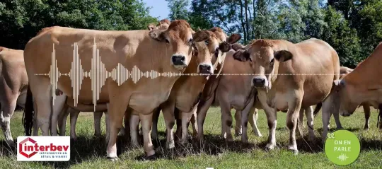 podcacst Interbev modele herbager 2