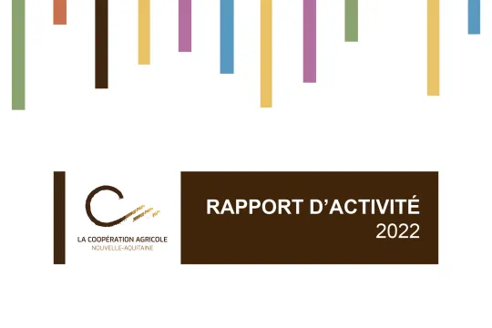 Rapport d'activité 2022