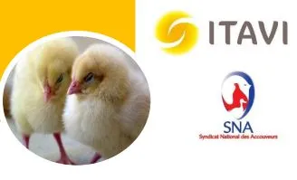 ITAVI journée 2023 accouvage