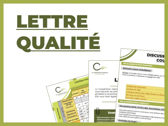 lettre qualité visuel