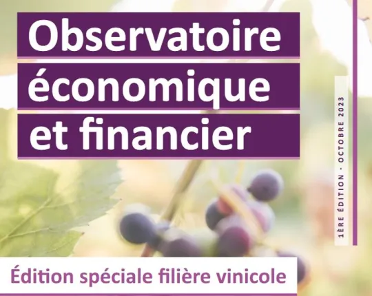 HCCA - Observatoire vin