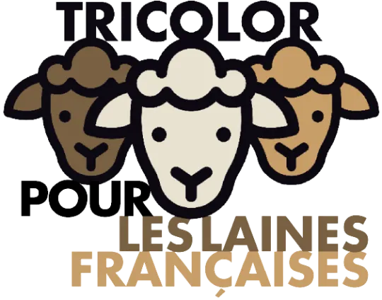 photo logo tricolor