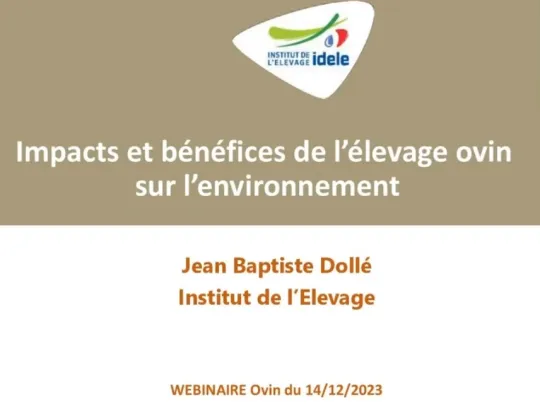 image webi greensheep