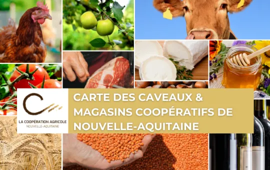 Cartes des caveaux et magasins coopératifs de Nouvelle-Aquitaine