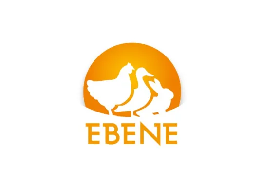 Logo EBENE