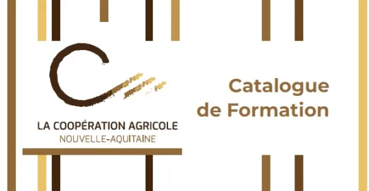 Catalogue formation
