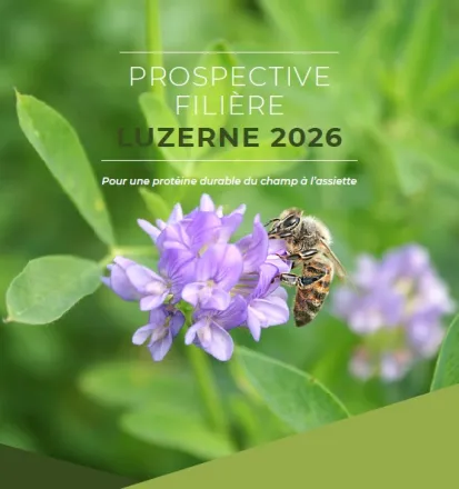 luzerne 2026