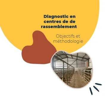 au diagnostic BEA en centre de rassemblement