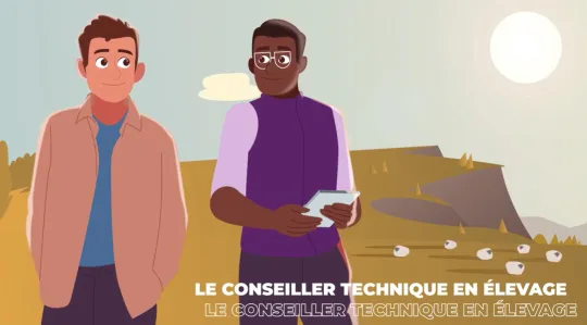 Motion design - amont de la filière