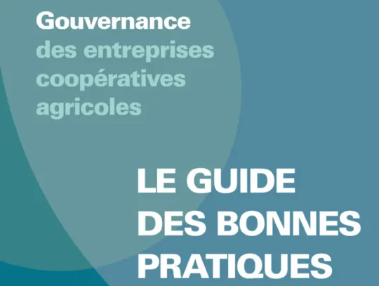 Guide gouvernance HCCA