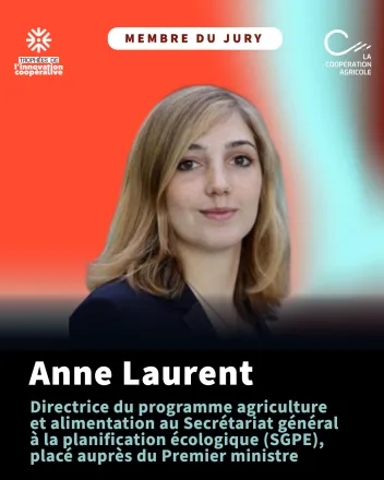 Anne Laurent