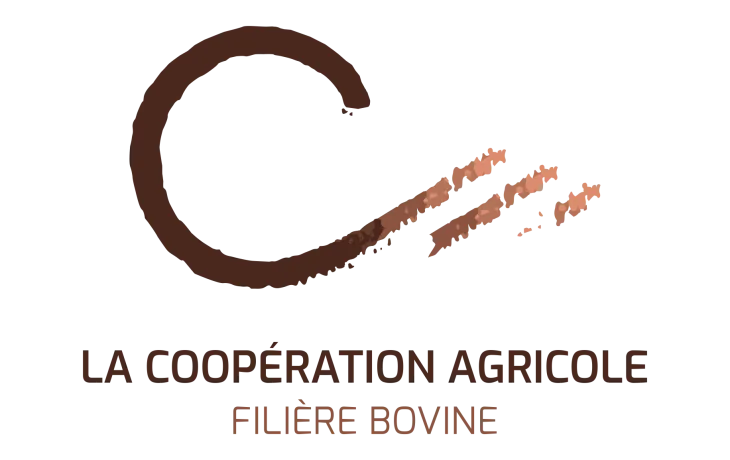 Logo LCA Filière Bovine