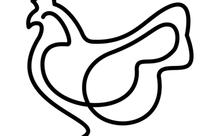 section avicole du pôle animal