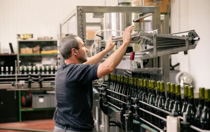 chaine de production de vin coopératif