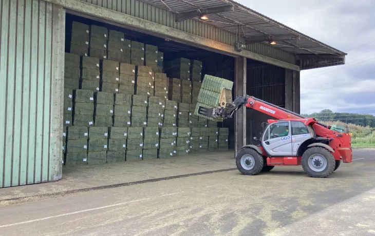 transformation luzerne