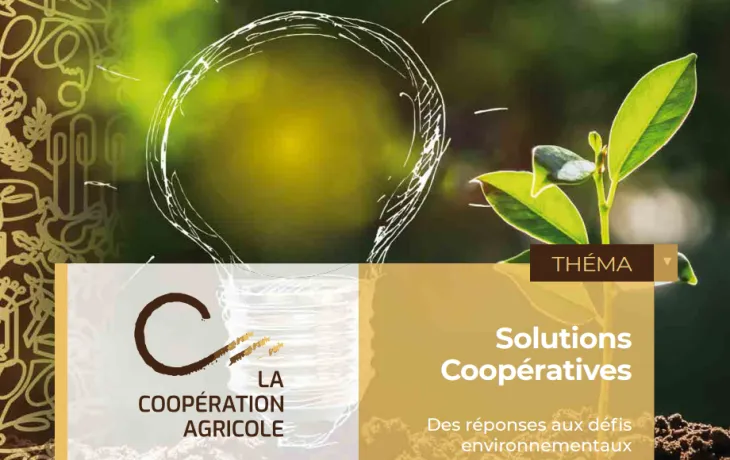 trophées des solutions