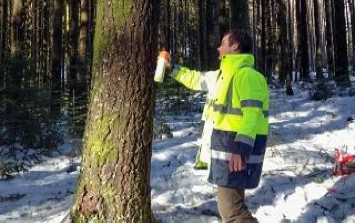 Union des Coopératives Forestières Françaises