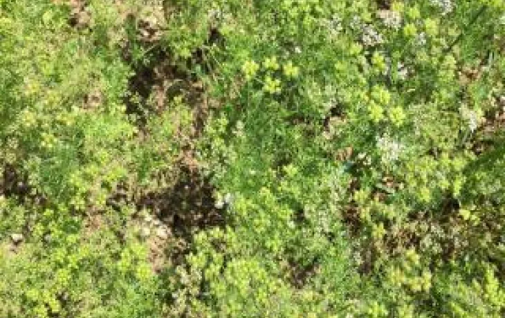 vivadour et maisadour