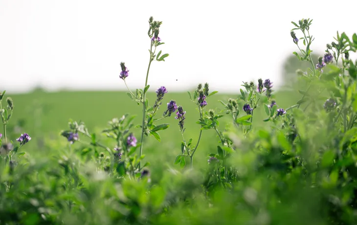 Coopérative Grasasa