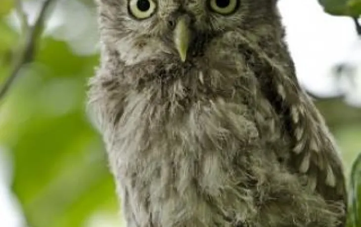 Coopérative Agropithiviers