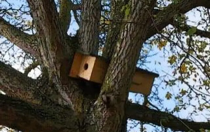 Coopérative Agropithiviers