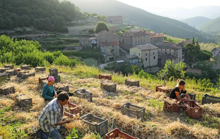 ORIGINE CEVENNES