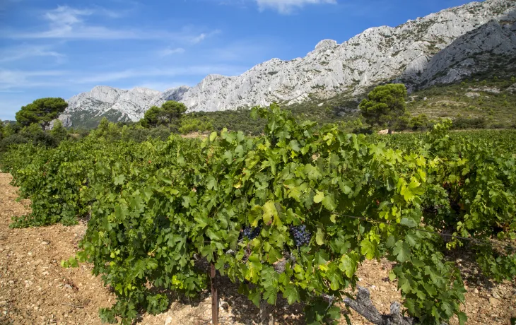 sainte victoire