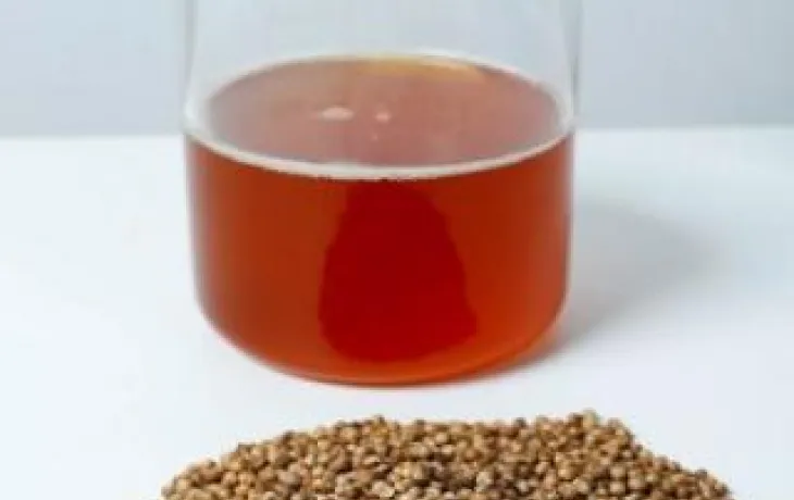 vivadour et maisadour