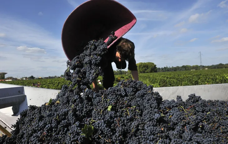 union des producteurs de saint émilion