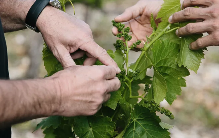 Génération de demain
