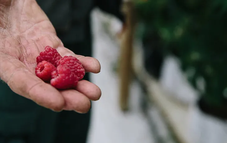 Les coopératives agricoles agissent pour la sécurité alimentaire
