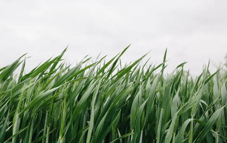 Circuit court et coopératives