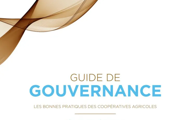 Guide de gouvernance