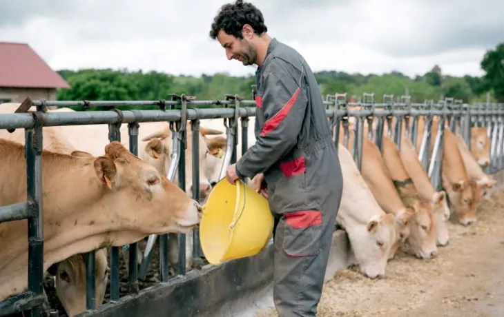 Renouvellement des générations