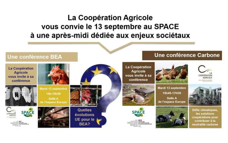 Space Rennes