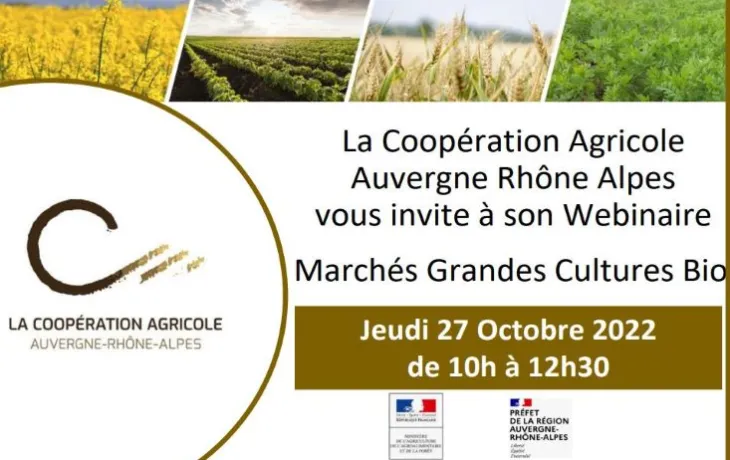 Webinaire - Marchés grandes cultures Bio