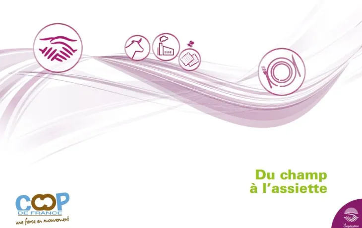 Thema conseils