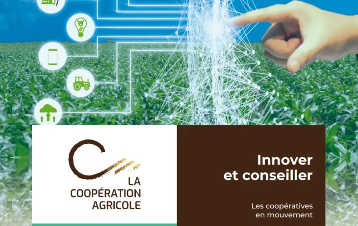 Innover et conseiller les coopératives agricoles