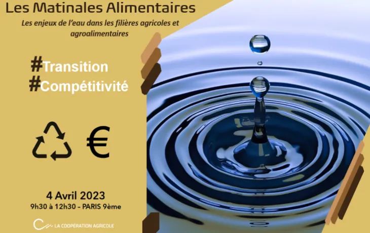 Matinale Alimentaire - eau