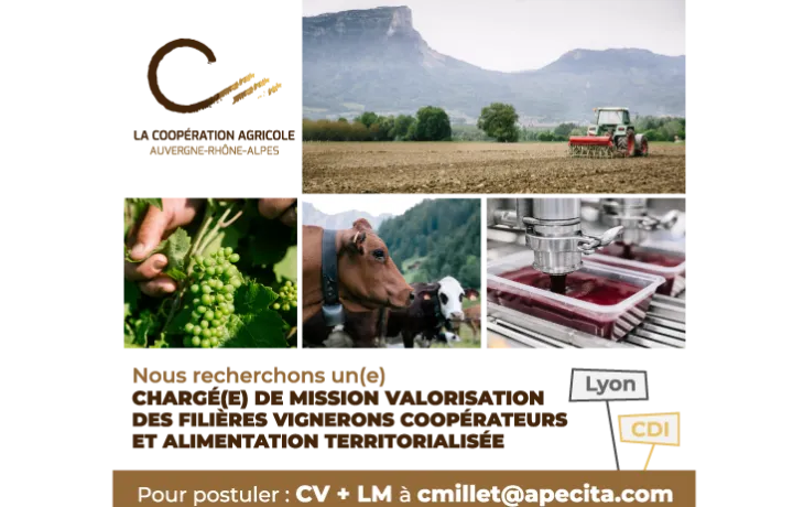 LCA ARA offre v2