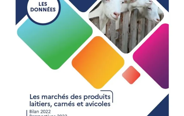 FAM visuel marché carné 2023