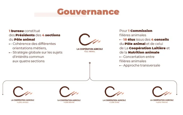 Gouvernance du Pôle Animal