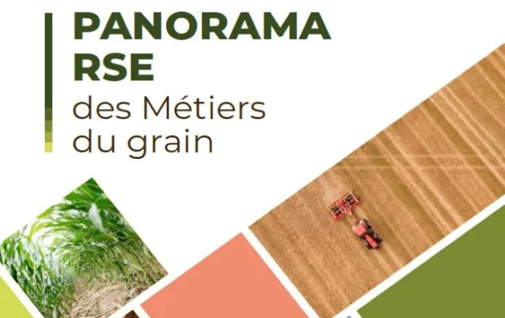 Panorama RSE MdG