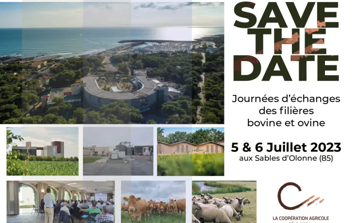 Std journées bovine et ovine 2023