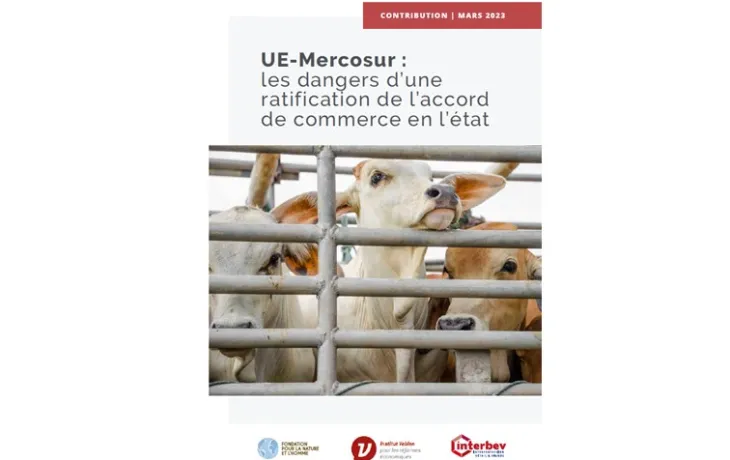 visuel rapport mercosur