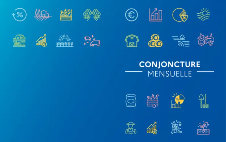 Notes conjonctures mensuelles FAM
