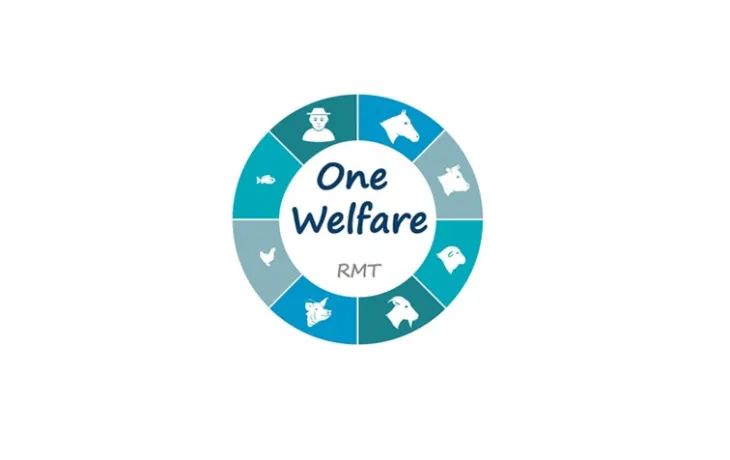 Webi Onewelfare 15 mai