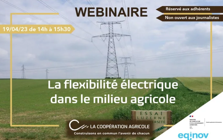 Webinaire flexibilité electrique