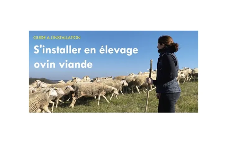 Guide installation ovine