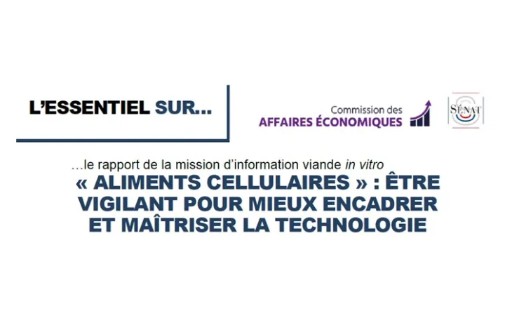 Rapport d'information du sénat